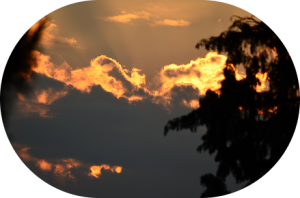 Coucher de soleil à travers les nuages avec la silhouette d'un arbre.